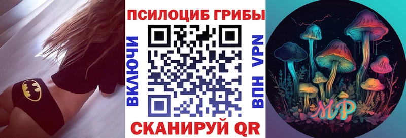 Купить  Медногорск  Псилоцибиновые грибы MAGIC MUSHROOMS 